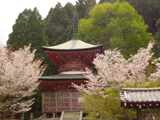 法輪寺