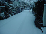 真っ白な雪