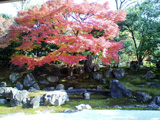 圓徳院