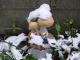 2008年雪積もりました