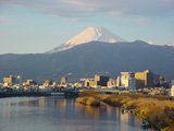 富士山