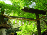 野宮神社