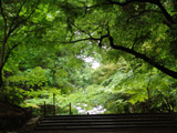 光明寺