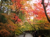 光明寺の紅葉