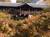 2013秋