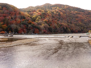 2024嵐山の紅葉