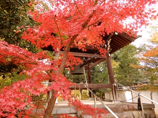 2024興聖寺織部寺